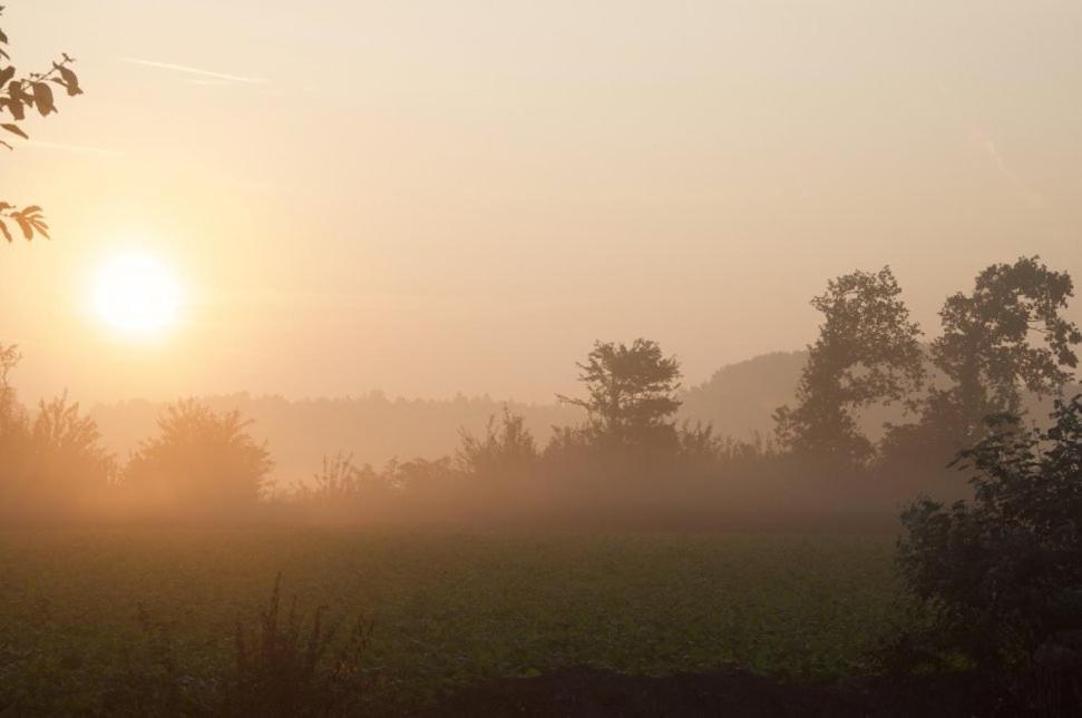 Hoeve Delshorst Heibloem 외부 사진